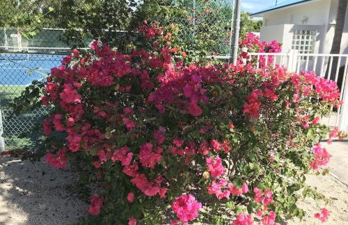 Tropical Daze Oceanfront Paradise - Foto 26