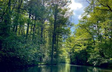 Tiny House im Spreewald - Lübbenau - Foto 21