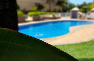 Vista Asomada - Foto 21