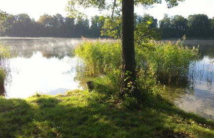 Schwalbenhaus-Netzow - Photo 1