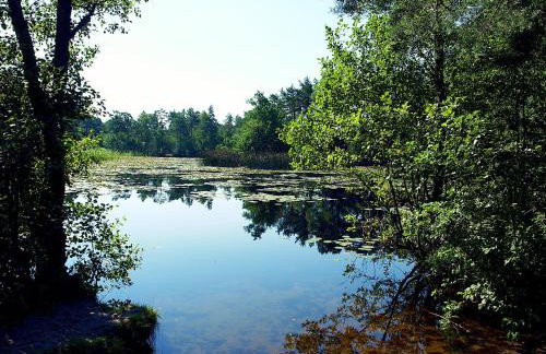 Domek Letniskowy Grażyna - Foto 47