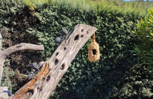 Posada del Moral - Photo 13