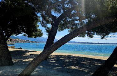 Perla No1 - Photo 44