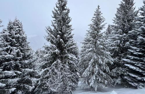 Bellavista Marilleva 1400 - Val di Sole - Foto 28