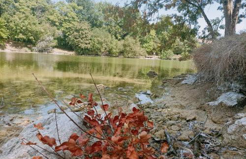 Maison avec piscine chauffée en résidence, 4 ou 5 pers, RDC, lac, nature et pêche - Foto 28