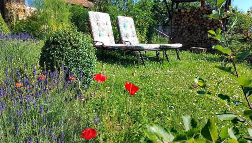 Loft Eifel Idylle - Photo 3, Garden