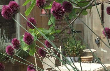 Lavender cottage - Foto 20