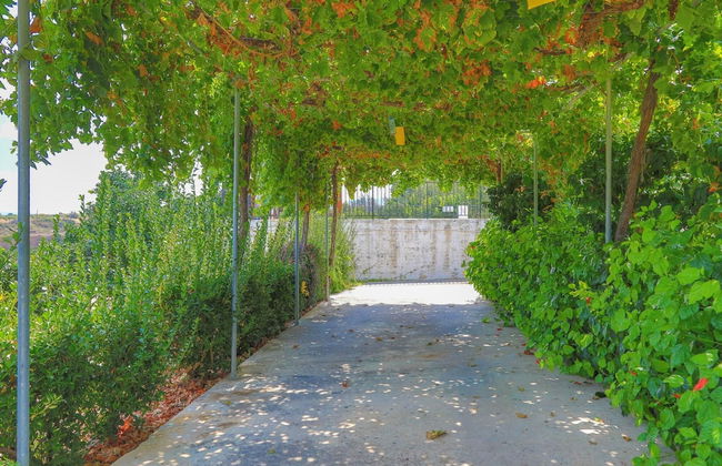 Villa Aphrodite Finiki - Foto 34