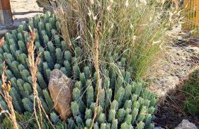 Passione Mare - Foto 51