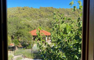 Apartman Robi - Photo 22