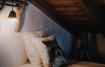 Savoya Lodges - Foto 77