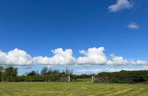 Bluebell Farm - Foto 12