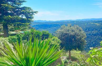 Gîte Le Figuier de Saint Ce Jardinet Terrasse Vue - Foto 18