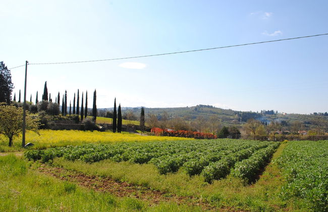 Fattoria di Malavolta - Foto 44