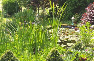 Ferienbauernhof - Foto 11