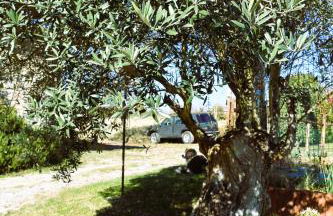 Casale Mansano - Natura e relax nelle colline - Photo 63