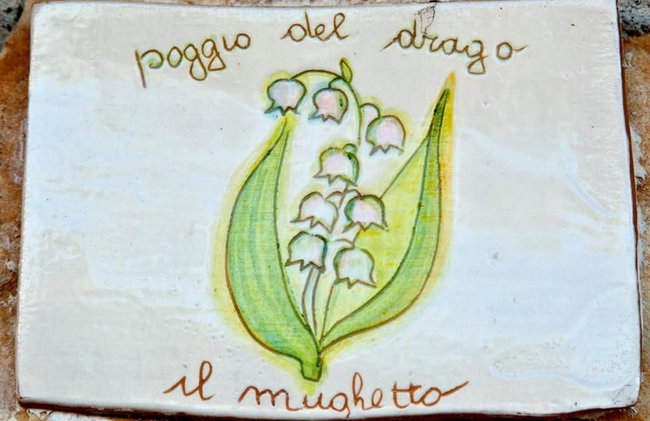 Agriturismo Poggio del Drago - Foto 44