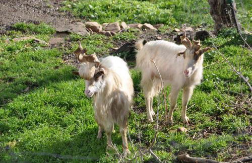 Azienda Agrituristica Bergi - Foto 71