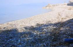 Holiday apartment near the sea - Foto 21