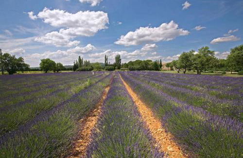 Gîtes dans Mas en pierres - Foto 3