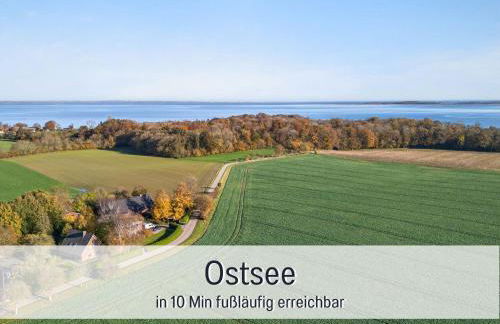 Ferienhaus Töpferhaus - strandnah, haustierfreundlich, Kaminofen, Garten, Platz für 3 Erwachsene, 2 Kinder - Foto 13