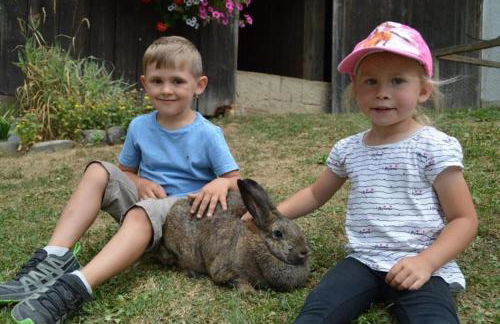 Ferienhof Altmann - Foto 27