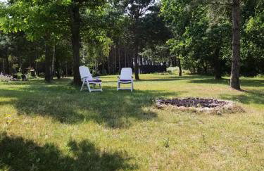 Dom nad jeziorem Suszewskim, Świętne. - Photo 22