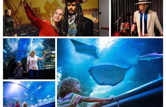 Alanya : Entrada al acuario de Antalya con traslado opcional - Foto 1