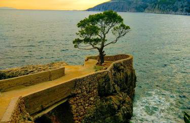 Apartmani Marija - Foto 29