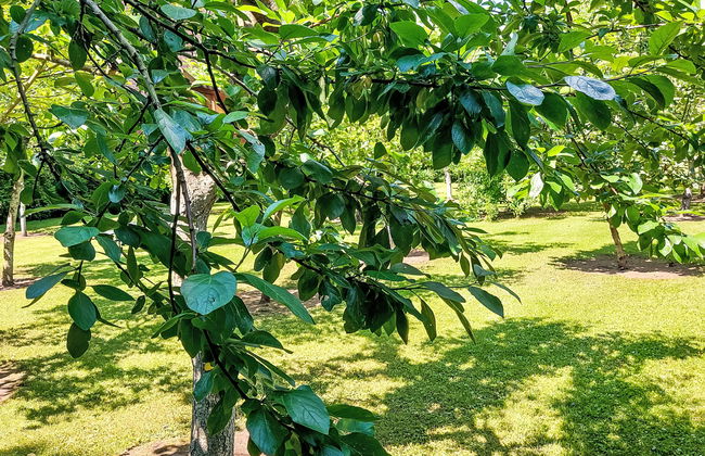 An der Eine - Foto 26