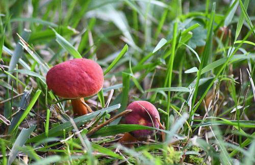 The Outlook - Pet Friendly, Grill, Wifi, View, Fire Pit, Deck, Family Friendly, Foosball, Game Room, King Bed, Fireplace - Photo 76