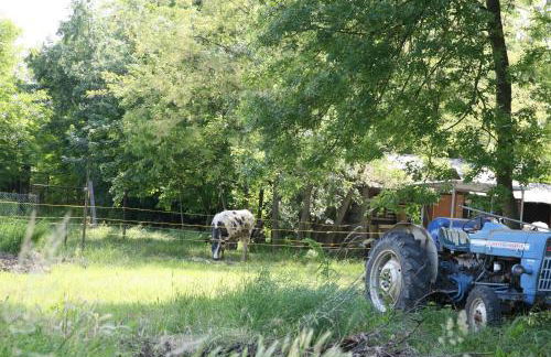 Agriturismo Maliso - Foto 59