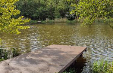 Szczodre Sybillenort blisko Wrocławia - Photo 28