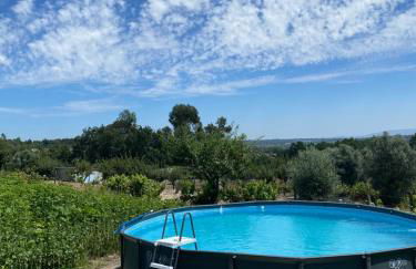 Casa de Pedra em Vinha no Dão - Foto 11