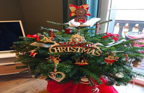 Apartment in Alsace near Haut-Koenigsbourg - Foto 32