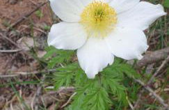 Casa Agnes - Foto 14