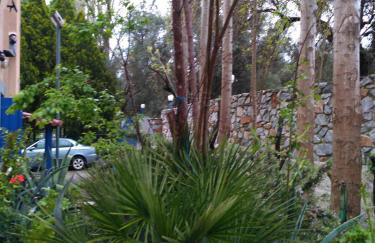 9 Musses Hotel Apartments - Foto 24