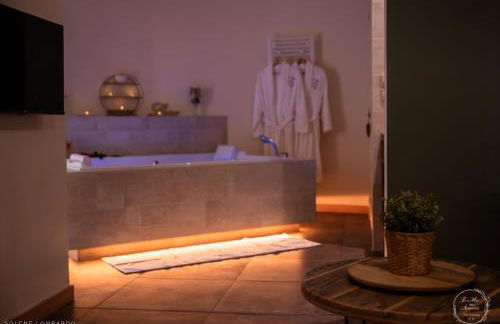 Le Mas aux Amoureux , Suite Romantique et Spa - Foto 16