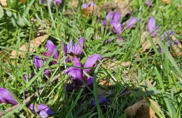 Le fournil à Mïette - Foto 50