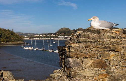 Harbour Cottage, Conwy - Foto 31