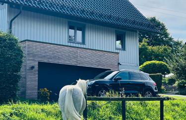 Ferienwohnung Derscheid - Foto 15