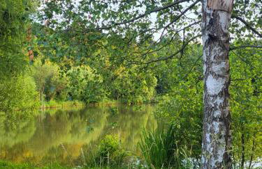 Cisza i Las - Dom na wyłączność, Prywatny Las, 2 pokoje, Polanica Zdrój - Foto 31