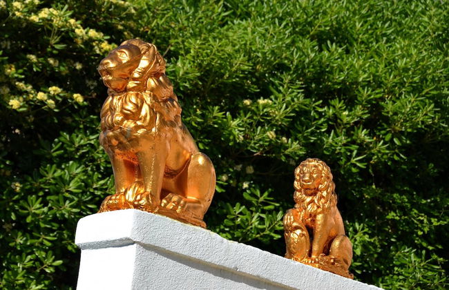 Apartments Corovic - Foto 44