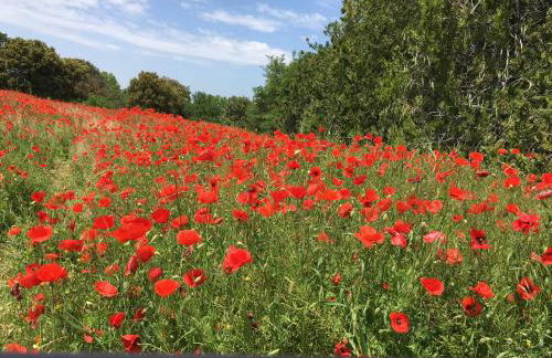 lagalerie84 - Foto 52