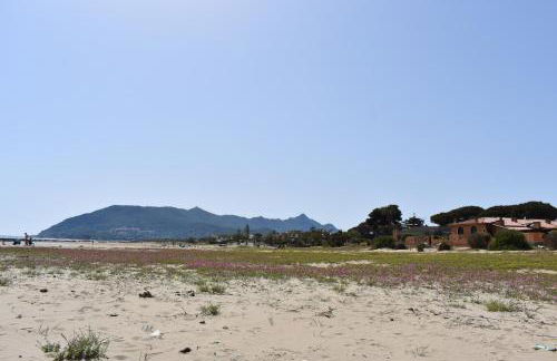 Sofia Mare - Foto 39