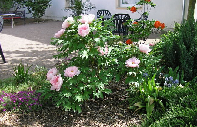 Schloss Triestewitz - Photo 35