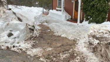 Gingerbread Gardens - Foto 2