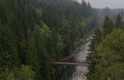 NWPADS-Verlot River Cabin - Hot Tub-Firepit-Beach - Foto 24