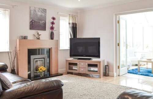 Rhosyn Gwyn - Foto 3