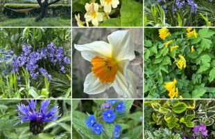 Four Seasons Cottage - in the Cotswolds - Foto 29